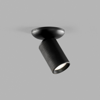 Raw 1 loftlampe 